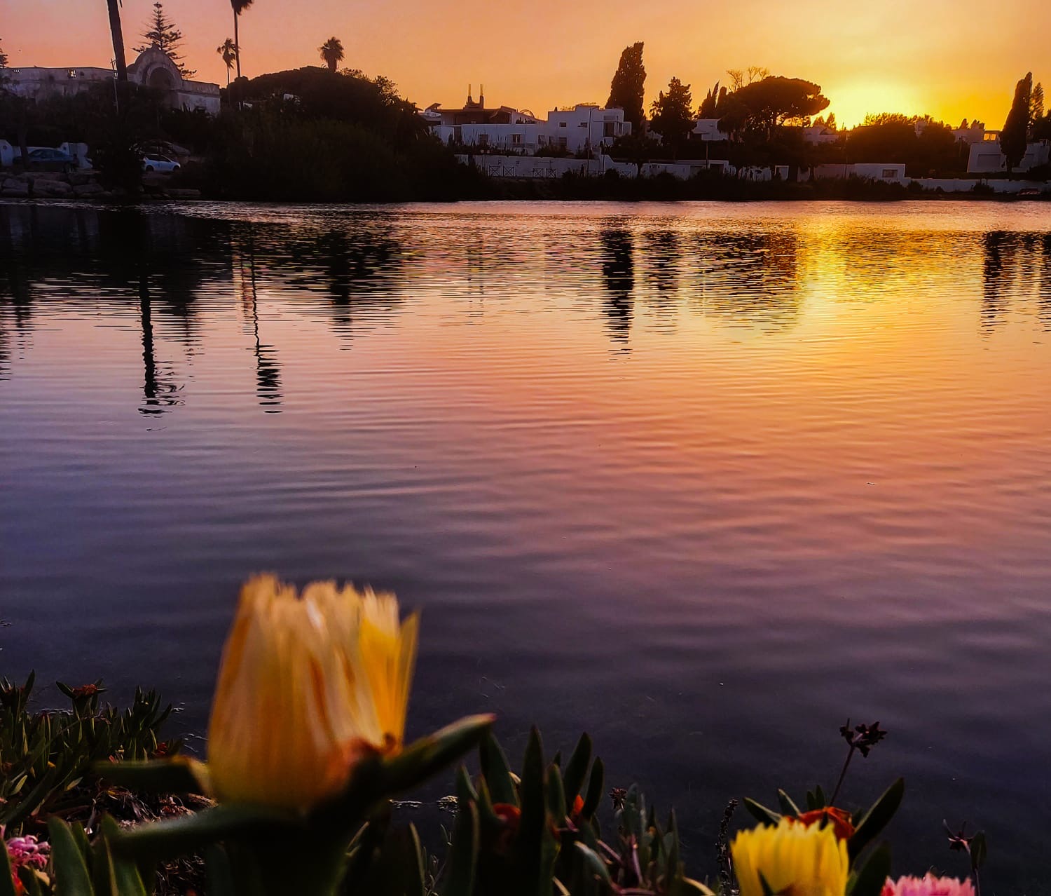 68c15877-3ca1-485f-aa32-0ea2aa4094a2