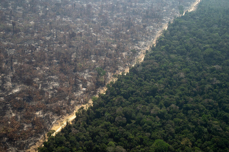 Il Sudamerica alleato contro la deforestazione amazzonica richiama l’Occidente