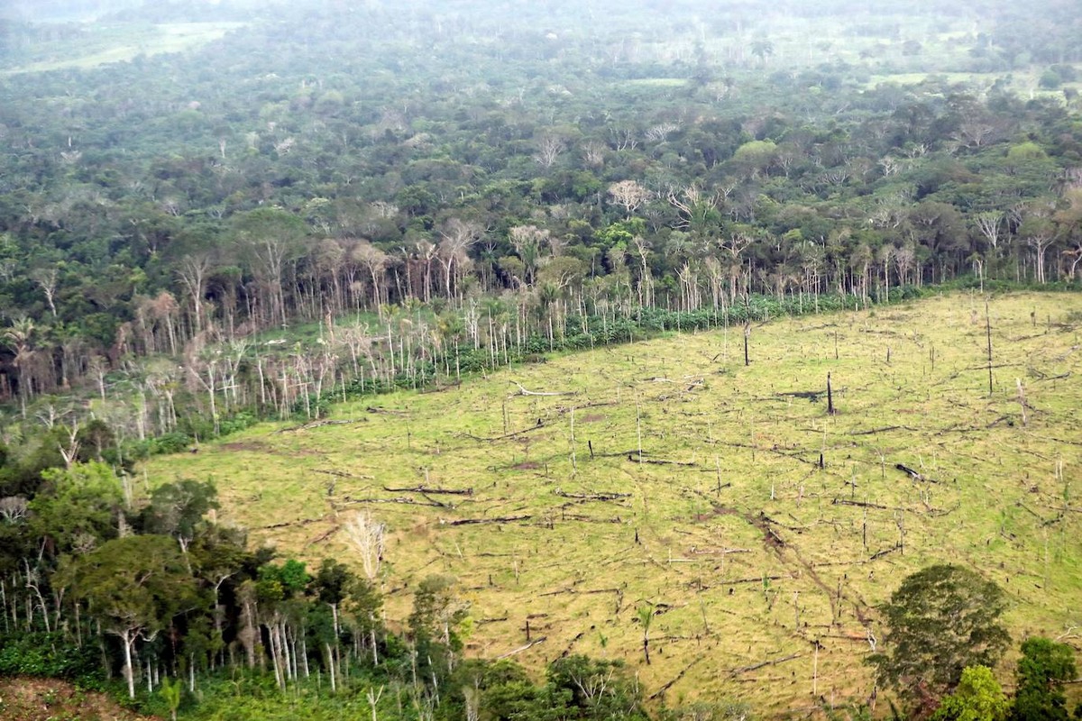 Colombia, buone notizie sulla lotta al crimine organizzato e alla deforestazione