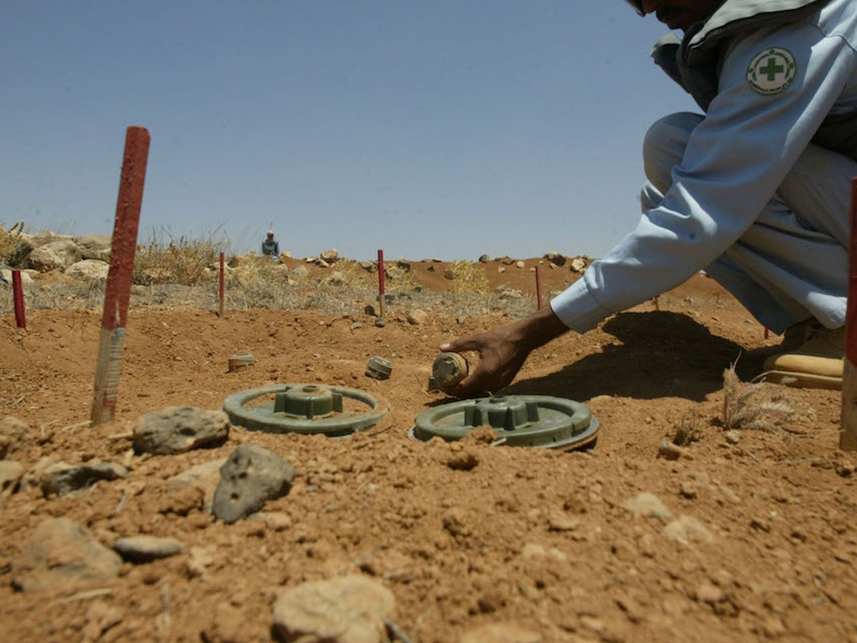 Il tartufo del deserto, diventa simbolo di morte in Siria