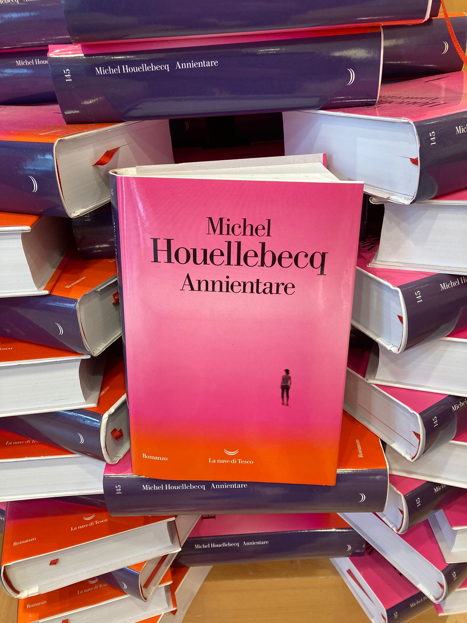 Annientamento il nuovo romanzo di Michel Houellebecq. Il pretesto dell’attacco hacker mette al centro il grande tema della morte