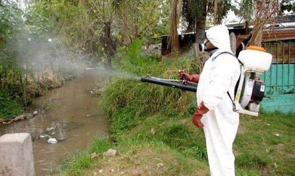 20 Marzo 2024 – Argentina registra un record storico di casi di dengue