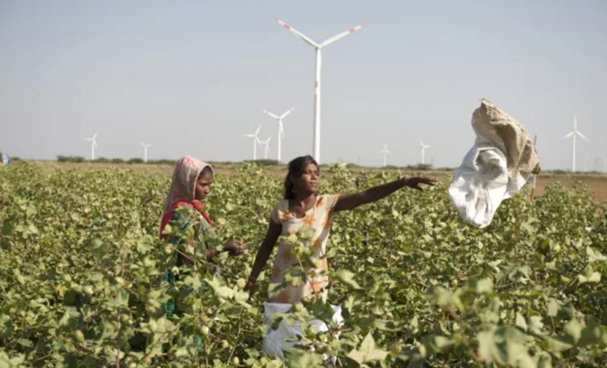 India, investimenti sull’energia eolica: le turbine arrivano dalla Danimarca