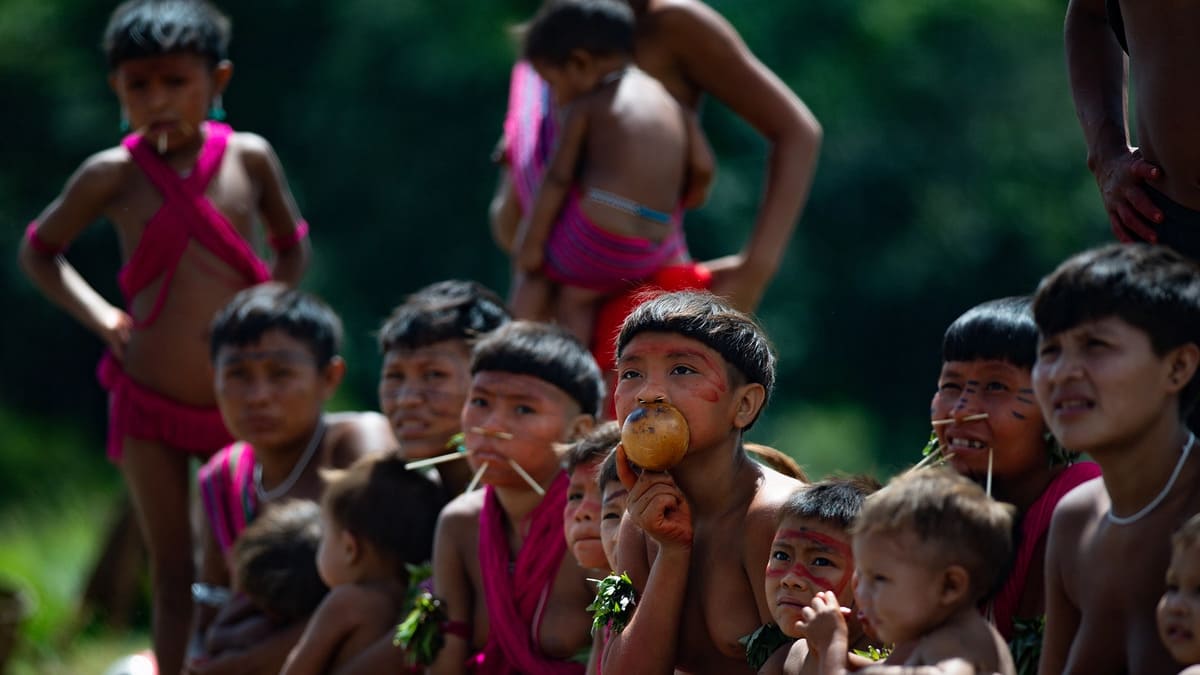 Brasile, la lotta per la sopravvivenza degli Yanomami. Tutto il mondo sotto accusa per la crisi umanitaria